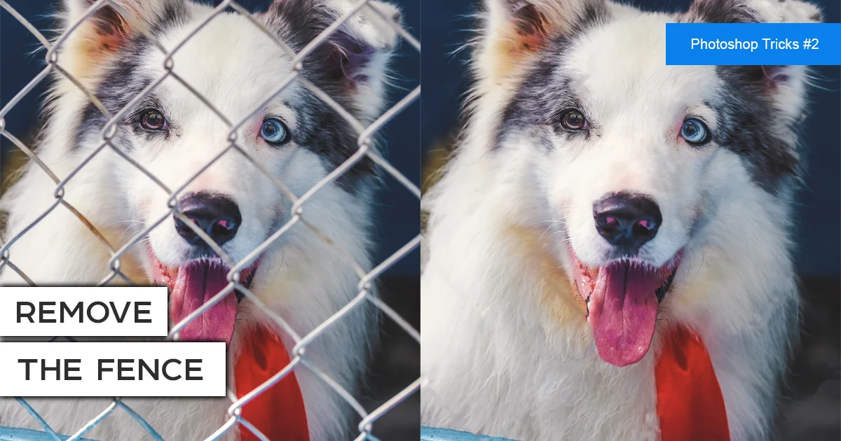 Remove the fence in an Image